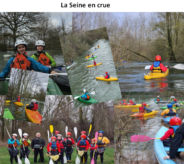 seine_crue.jpeg